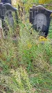 Захоронение ID 1289399