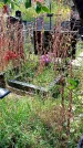 Захоронение ID 1289419