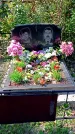 Захоронение ID 1289468