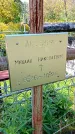 Захоронение ID 1289477
