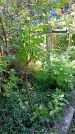 Захоронение ID 1289503