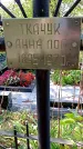 Захоронение ID 1289518