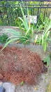 Захоронение ID 1289552