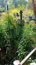 Захоронение ID 1289571