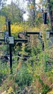 Захоронение ID 1289572