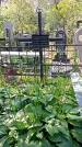 Захоронение ID 1289601