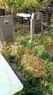 Захоронение ID 1289770