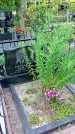 Захоронение ID 1289795