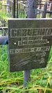 Захоронение ID 1289846