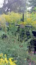 Захоронение ID 1289936