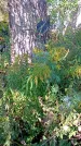 Захоронение ID 1290103