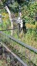 Захоронение ID 1290185
