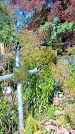 Захоронение ID 1290186
