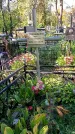 Захоронение ID 1290237
