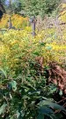 Захоронение ID 1290243