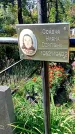 Захоронение ID 1290295