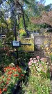 Захоронение ID 1290297