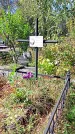 Захоронение ID 1290306