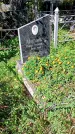 Захоронение ID 1290308