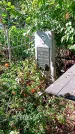 Захоронение ID 1290347