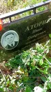 Захоронение ID 1290348