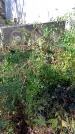 Захоронение ID 1290355