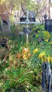 Захоронение ID 1290370