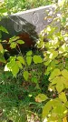 Захоронение ID 1290400