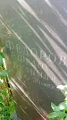 Захоронение ID 1290404