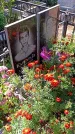 Захоронение ID 1290469