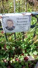 Захоронение ID 1290692