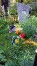Захоронение ID 1290755