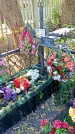 Захоронение ID 1290767