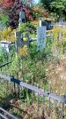 Захоронение ID 1290771