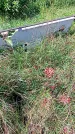 Захоронение ID 1290782