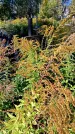 Захоронение ID 1290806