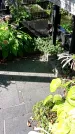 Захоронение ID 1290852