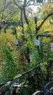 Захоронение ID 1290967