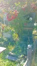 Захоронение ID 1290990