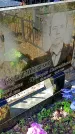 Захоронение ID 1291017