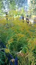 Захоронение ID 1291081