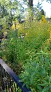 Захоронение ID 1291116