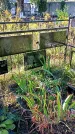 Захоронение ID 1291124