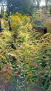Захоронение ID 1291210