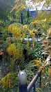 Захоронение ID 1291218