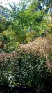 Захоронение ID 1291244