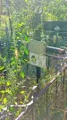 Захоронение ID 1291257