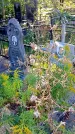 Захоронение ID 1291356