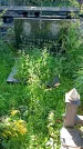 Захоронение ID 1291376