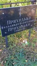 Захоронение ID 1291432